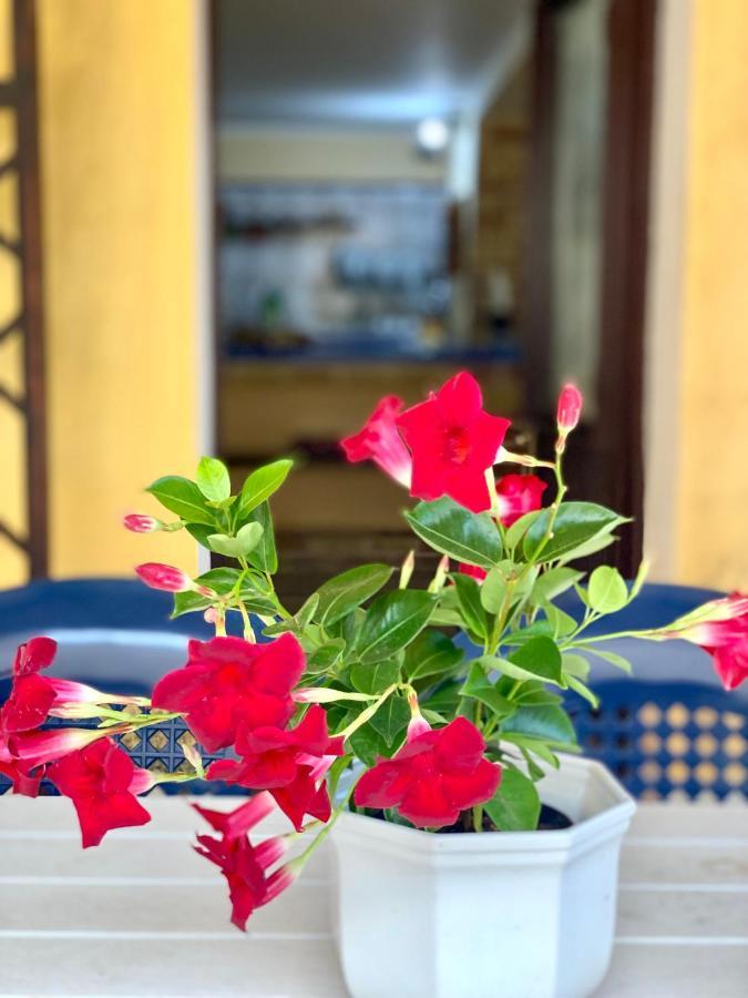 La Casa Dei Bouganville - Lo Stagnone Isole Egadi Marsala Ngoại thất bức ảnh
